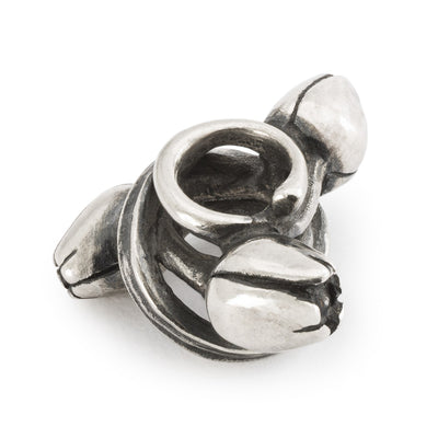 Optimista tulipán